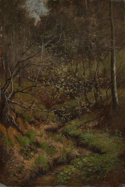 Victor Puhonny - Waldbach
