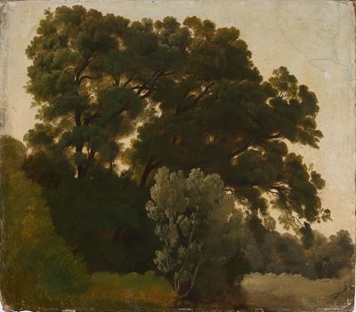 Carl Friedrich Lessing(?) - Baumstudie