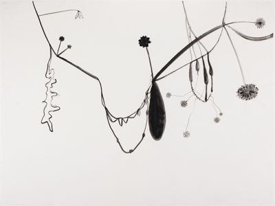 Silvia Bächli - Floréal