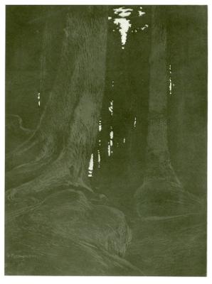 Gustav Kampmann - Hochwald am Abend