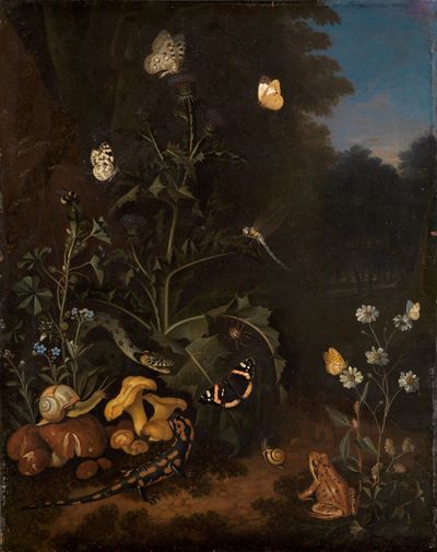 Franz de Hamilton - Distel am Waldrand