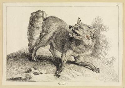 Jean Eric Rehn - Fuchs