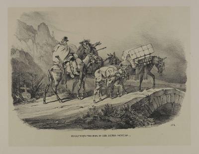 Wilhelm Gail - Maulthier-Treiber in der Sierra Morena