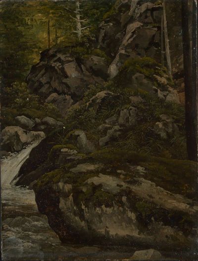 Georg Wilhelm Issel - Waldbach