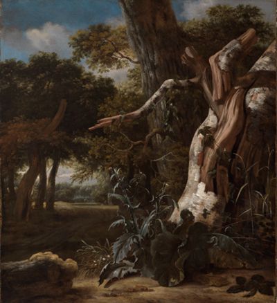 Jan van Kessel (1641) - Waldlandschaft mit geborstener Buche