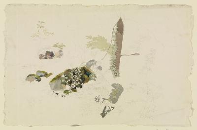 August Lucas - Bemooste Steine, Baum- und Blattstudien