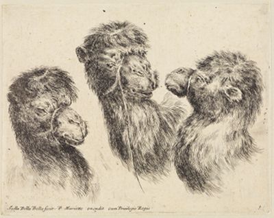 Verschiedene Tierköpfe (Têtes de différents animaux): Drei Kamelköpfe