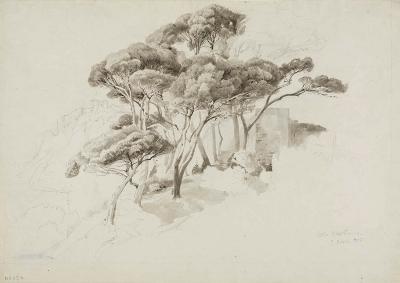 Edmund Friedrich Kanoldt - Pinien im Garten der Villa Piuma in Sestri Ponente