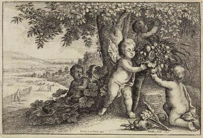 Wenzel Hollar - Die Erde