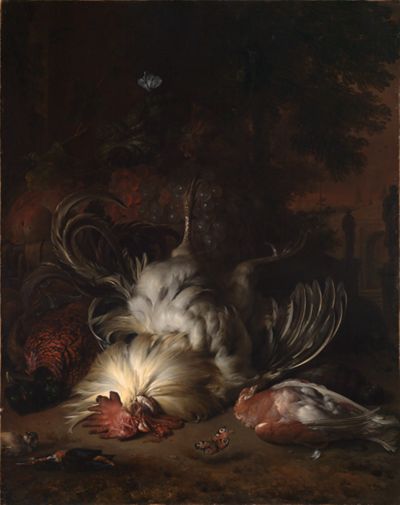 Jan Weenix (1640) - Stilleben mit totem weissem Hahn