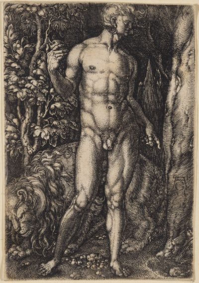 Heinrich Aldegrever - Adam (Adam und Eva)
