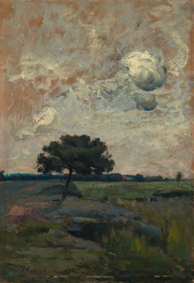 Franz Horadam - Moorlandschaft