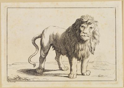 Bernard Picart (1673) - Liegender Löwe und Löwin an einer Kette