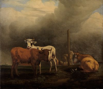 Rinder und Schafe auf Weide