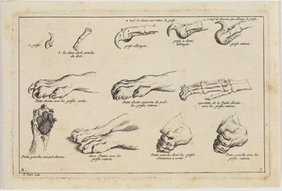 Bernard Picart (1673) - Schematische Darstellung der Löwenkrallen
