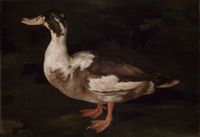 Gysbert Gillisz. de Hondecoeter (?) - Gefleckter Erpel