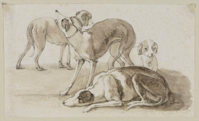 Johann Elias Ridinger - Vier Hunde