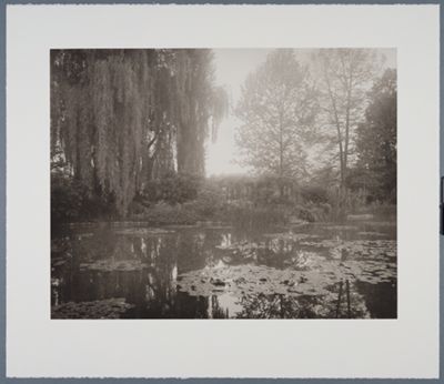 Elger Esser - Combray (Giverny IV)