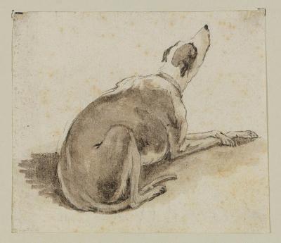 Johann Elias Ridinger - Ein Windhund