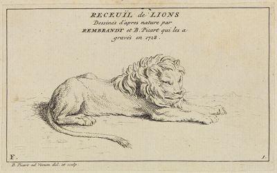 Bernard Picart (1673) - Liegender Löwe nach rechts