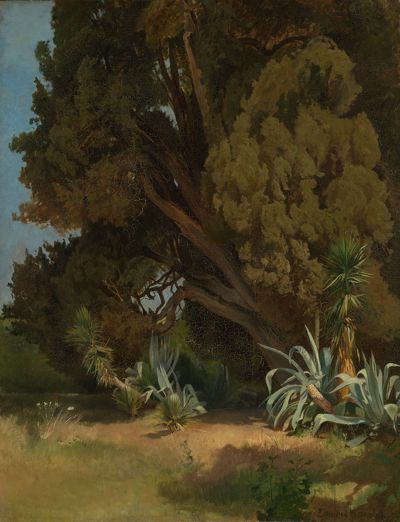 Edmund Friedrich Kanoldt - Baumstudie aus der Villa dEste in Tivoli