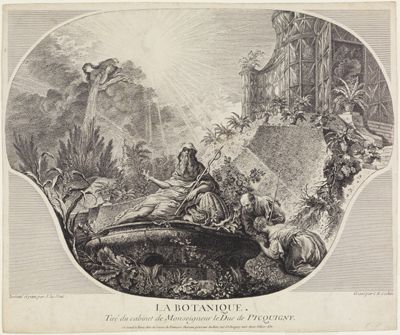Charles Nicolas Cochin (1688) - Die Botanik