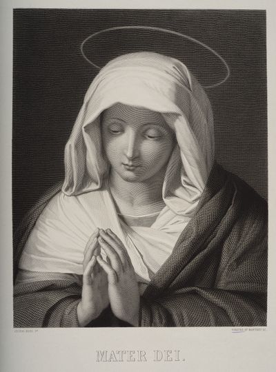 François Forster - Mater Dei