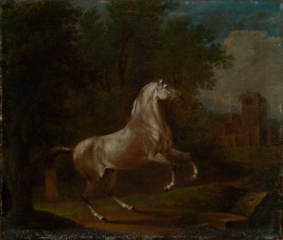 Johann Georg Pforr - Steigender Schimmel