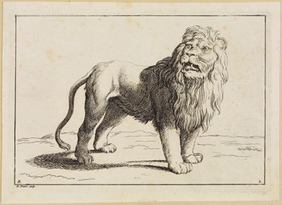 Bernard Picart (1673) - Schlafende Löwin und Löwin an einer Kette