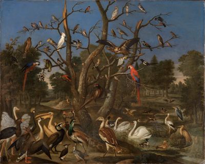 Franz de Hamilton - Konzert der Vögel