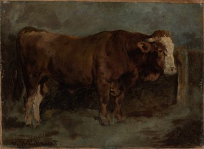 Victor Weishaupt - Junger Stier
