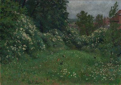 Hans Richard von Volkmann - Hollerblüte