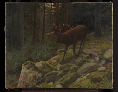 Otto Fikentscher (1862) - Röhrender Hirsch