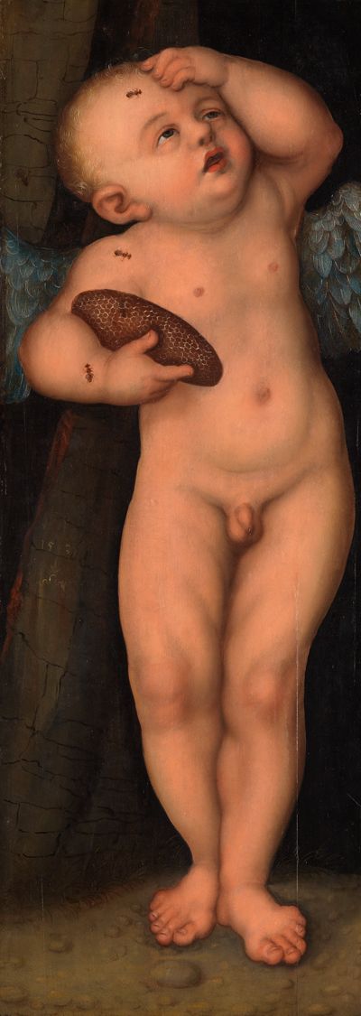 Das Werk von Lucas Cranach zeigt einen kleinen, nackten, stehenden, geflügelten Knaben mit einer Honigwabe aus der er den Honig nascht.
