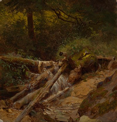 Gustav Osterroht - Waldbach