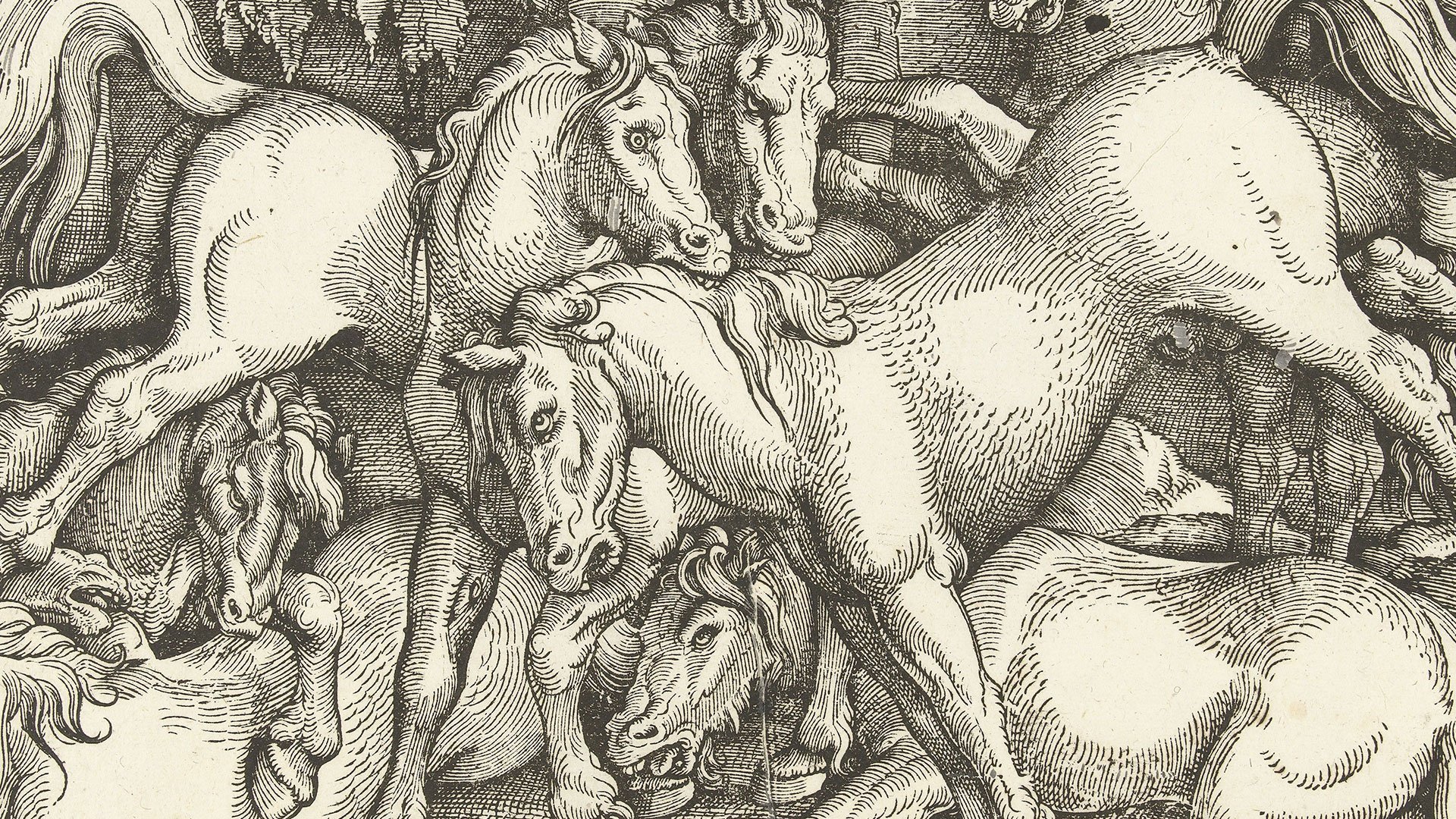Detail-Abbildung des Werks "Kämpfende Hengste inmitten einer Gruppe von Wildpferden" des Künstlers Hans Baldung Grien. Es zeigt mehrere Pferde.