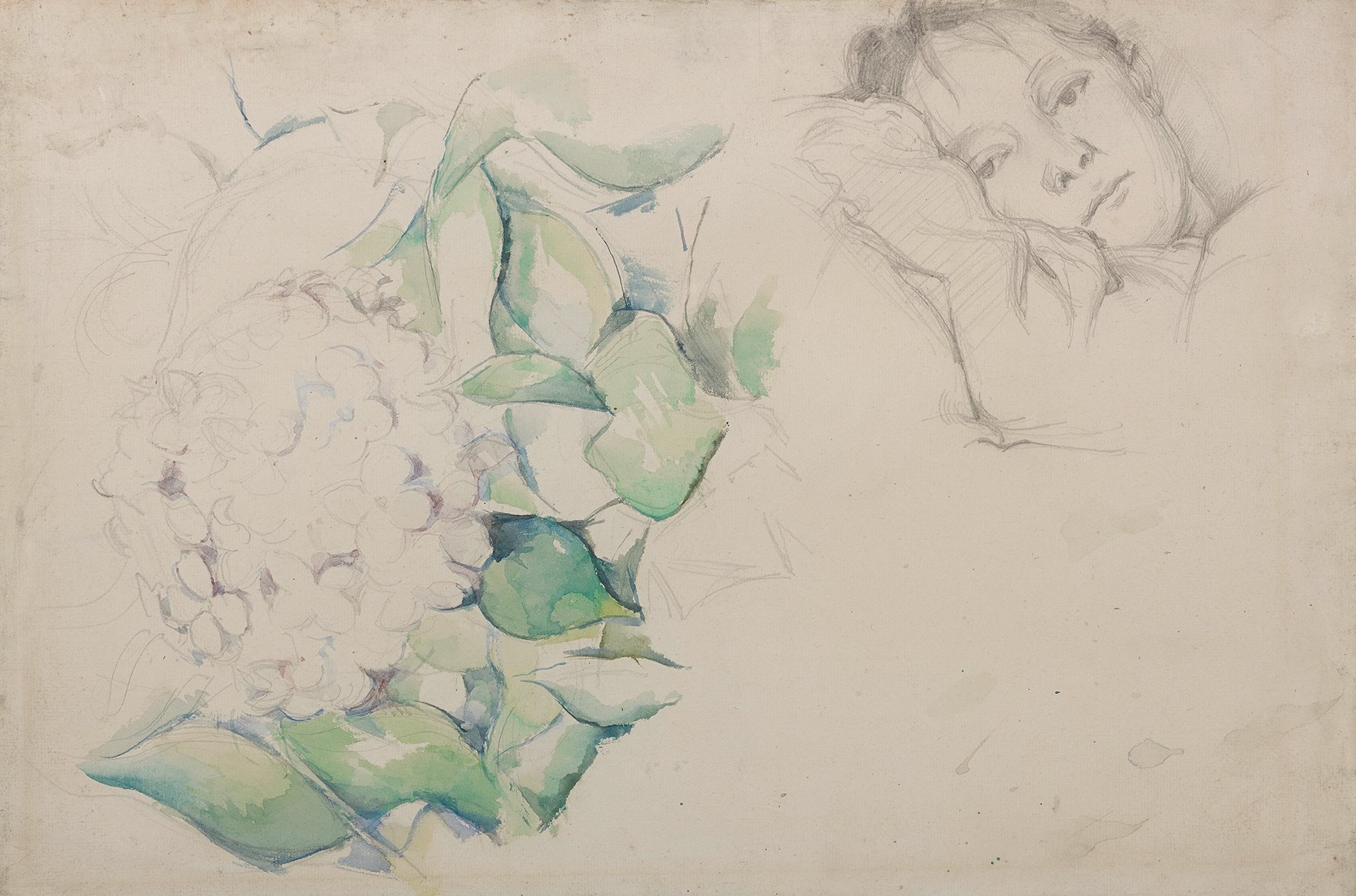 Die Zeichnung Cézannes zeigt das Gesicht einer jungen Frau und eine große Blumenblüte.