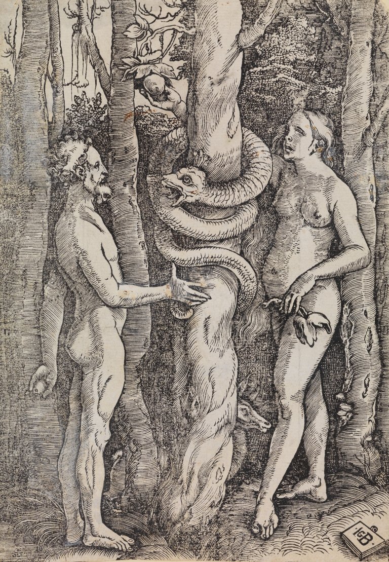 Abbildung des Werks Adam und Eva des Renaissance-Künstlers Hans Baldung Grien. Zu sehensidn Adam und Eva wie sie vor einem Baum stehen. Um den Baum windet sich eine Schlange.