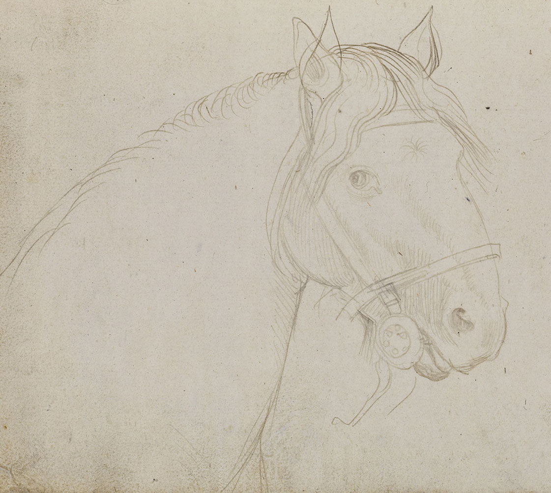 Abbildung einer Zeichnung aus dem Karlsruher Skizzenbuch des Renaissance-Künstlers Hans Baldung Grien. Zu sehen ist die Skizze eines Pferdekopfes.
