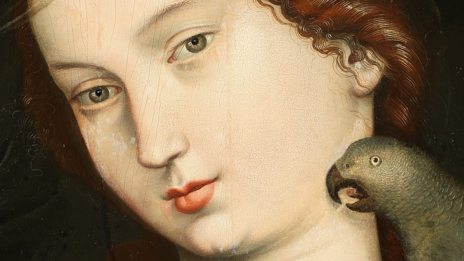 Detail der Augenpartie Marias aus Hans Baldung Griens Gemälde Maria mit Kind und Papageien. Die Frau hat rote Haare und stark rote Lippen. Rechts neben ihr ist ein Papagei.