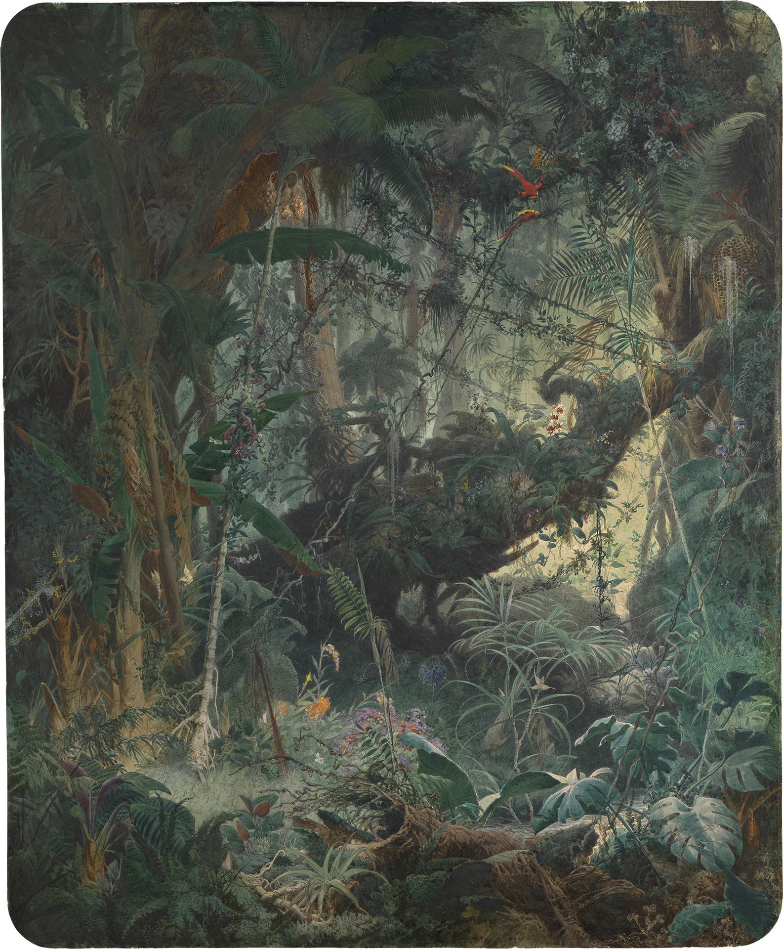 Abbildung des Gemäldes "Brasilianischer Urwald" des Künstlers Adolf Schrödters. Das Bild zeigt einen mit Pflanzen und Lianen überwucherten Regenwald.