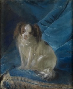 Bellamina, Schoßhündchen der Markgräfin Karoline Luise von Baden, porträtiert von Josef Melling