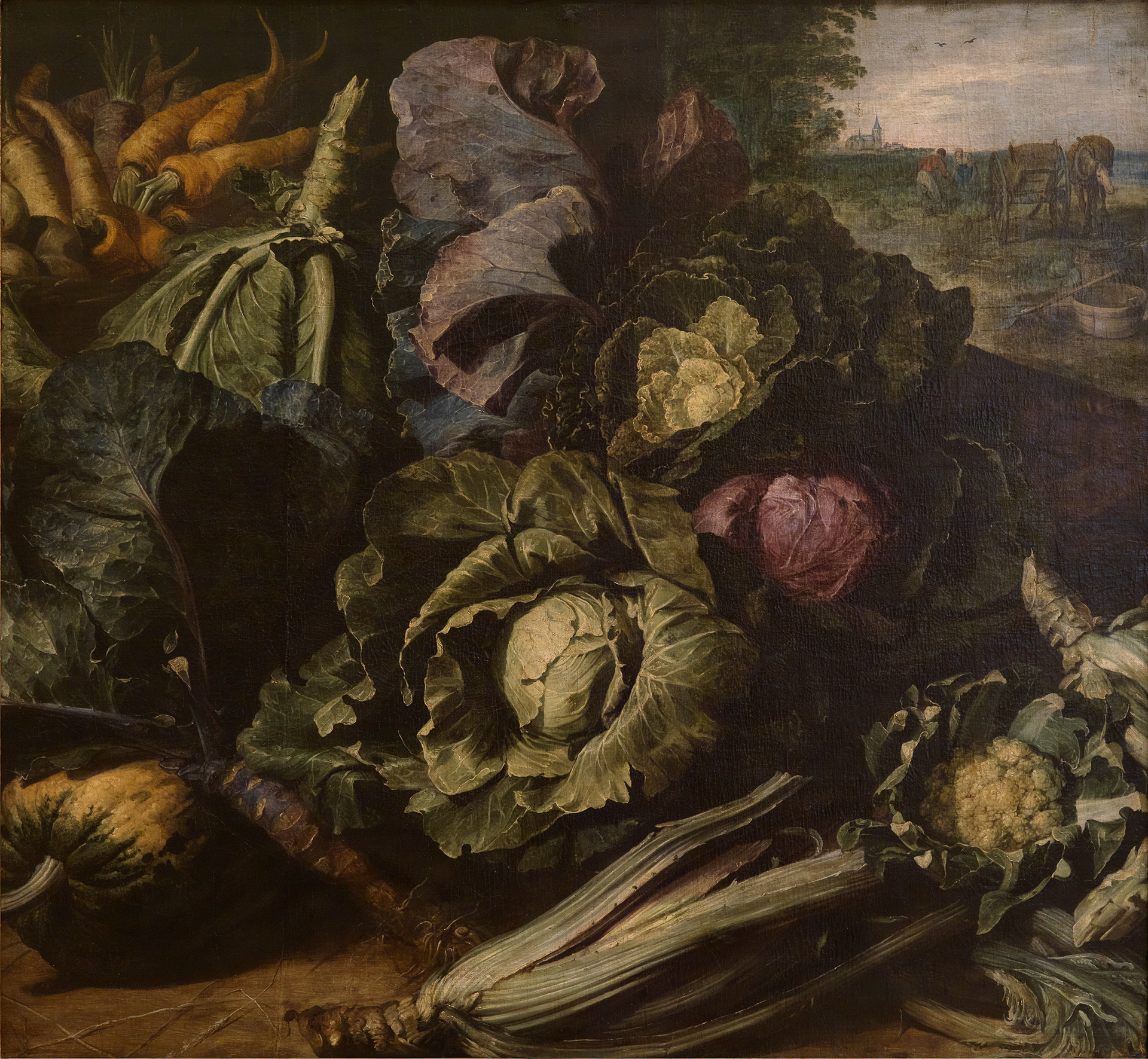 Eine beinahe quadratisches Gemälde zeigt im Stile altniederländischer Stillleben verschiedene Kohl- und Rübensorten, im Hintergrund ist Land zu sehen.