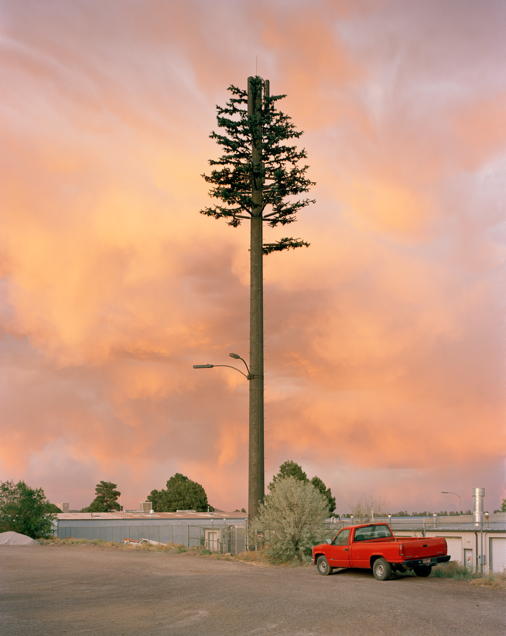 Abbildung einer Fotografie von Robert Voit, auf der im Sonnenuntergang ein als Baum getarnter Mast zu sehen ist.