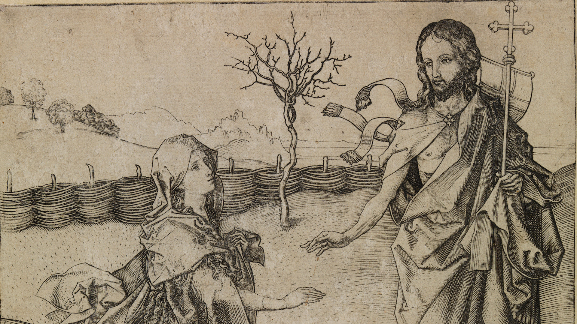 Abgebildet ist eine Zeichnung, die rechts einen jungen Mann zeigt und links einen Baum.
