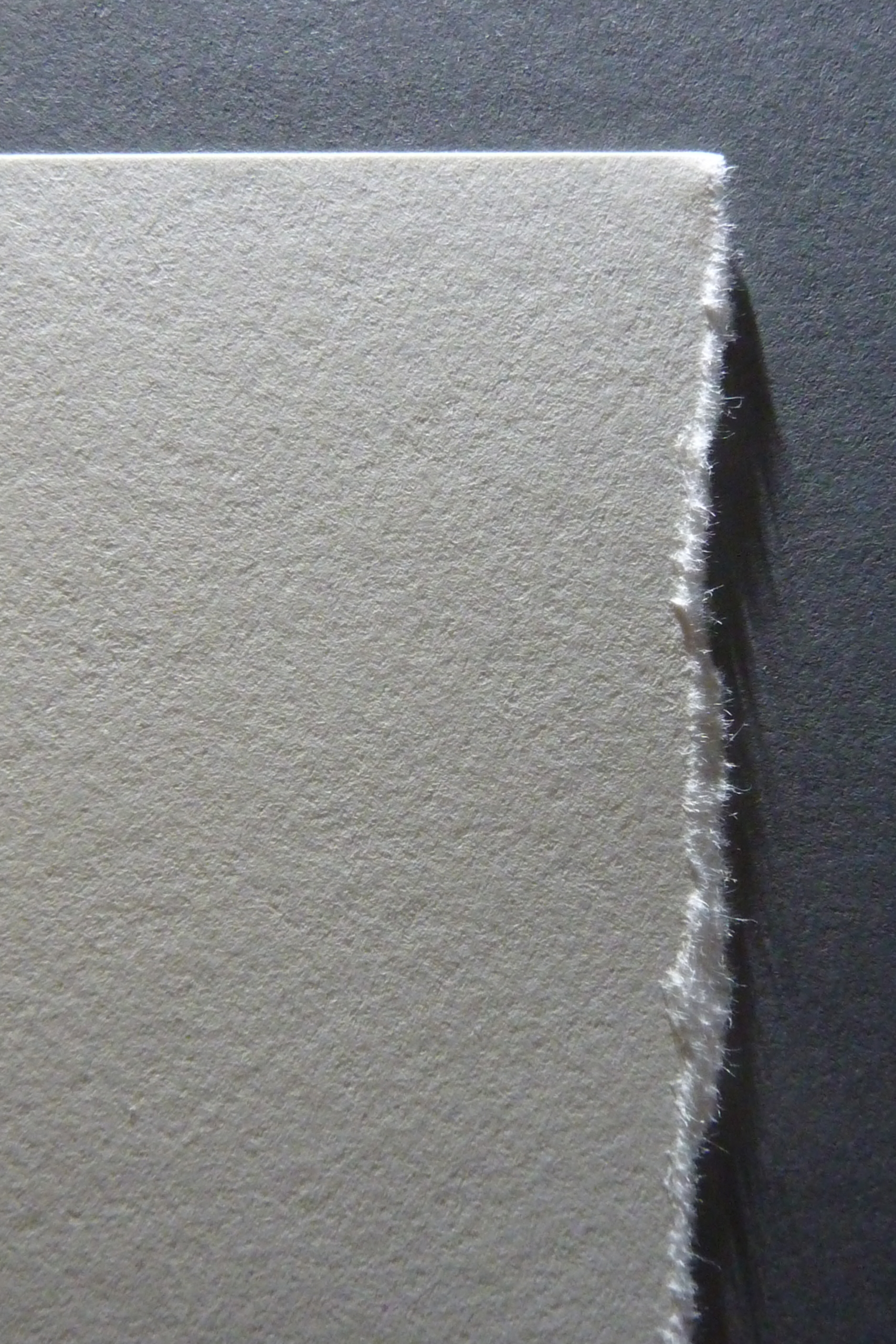 Das Bild zeigt eine gerissene Blattkante an einem Blatt Papier