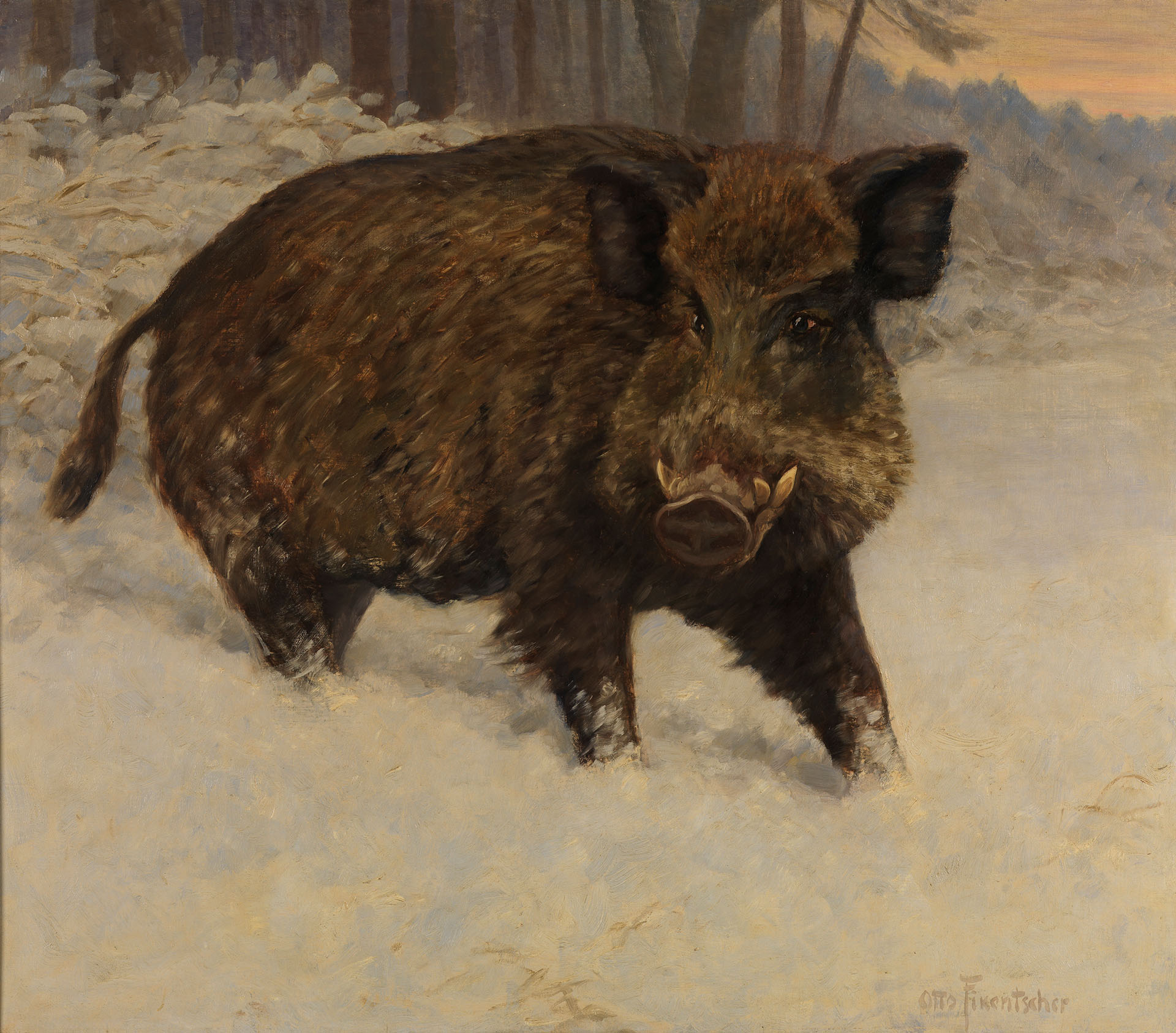 Gemälde von Otto Fikentscher, das ein Wildschwein im Schnee zeigt