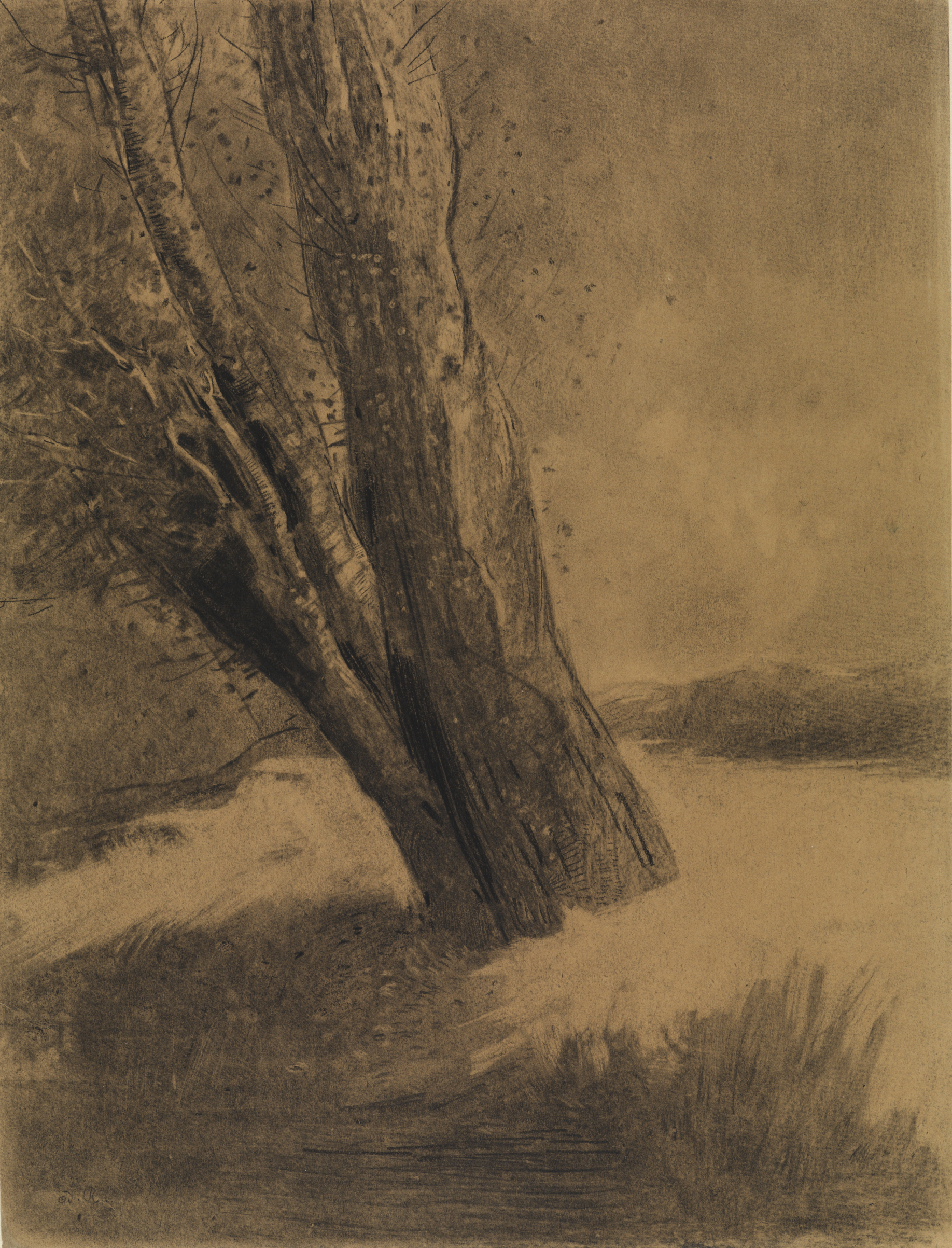 Abbildung der Zeichnung " Baum, nach links geneigt" von Odilon Redon