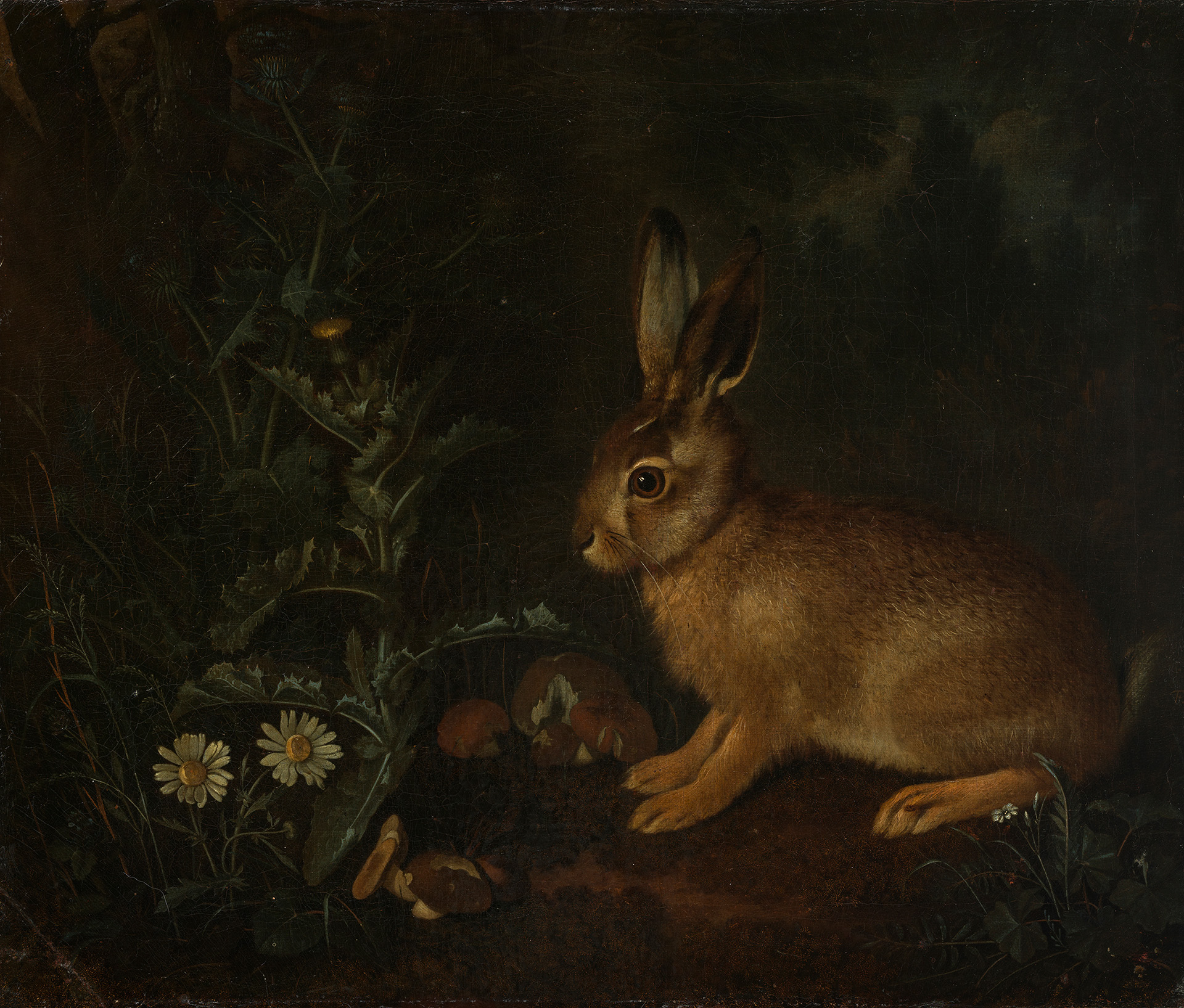 Gemälde Hase am Waldrand mit Disteln und Pilzen von Franz de Hamilton