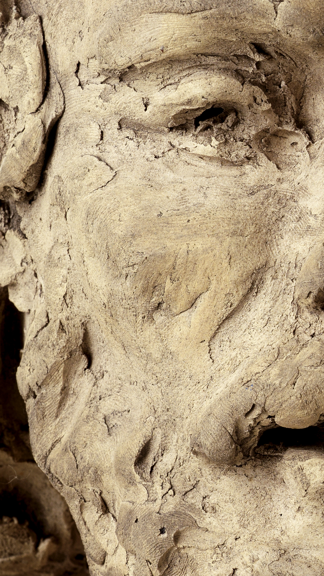 Detail-Ausschnitt des Hauptes Johannes des Täufers. Detailansicht Gesichtshälfte